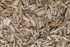 biomass boilers Fishponds
